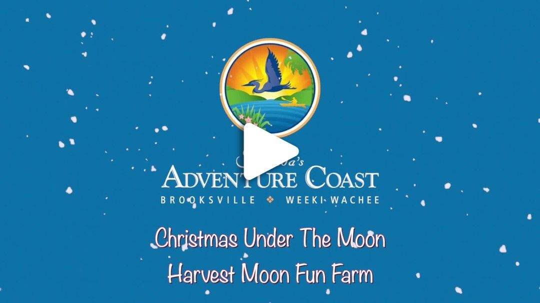 Harvest Moon Fun Farm Christmas Under the Moon 2021