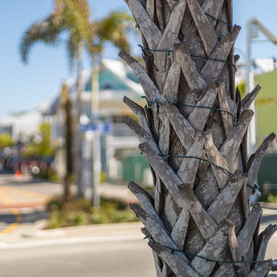 Christmas on Bridge Street Anna Maria Island