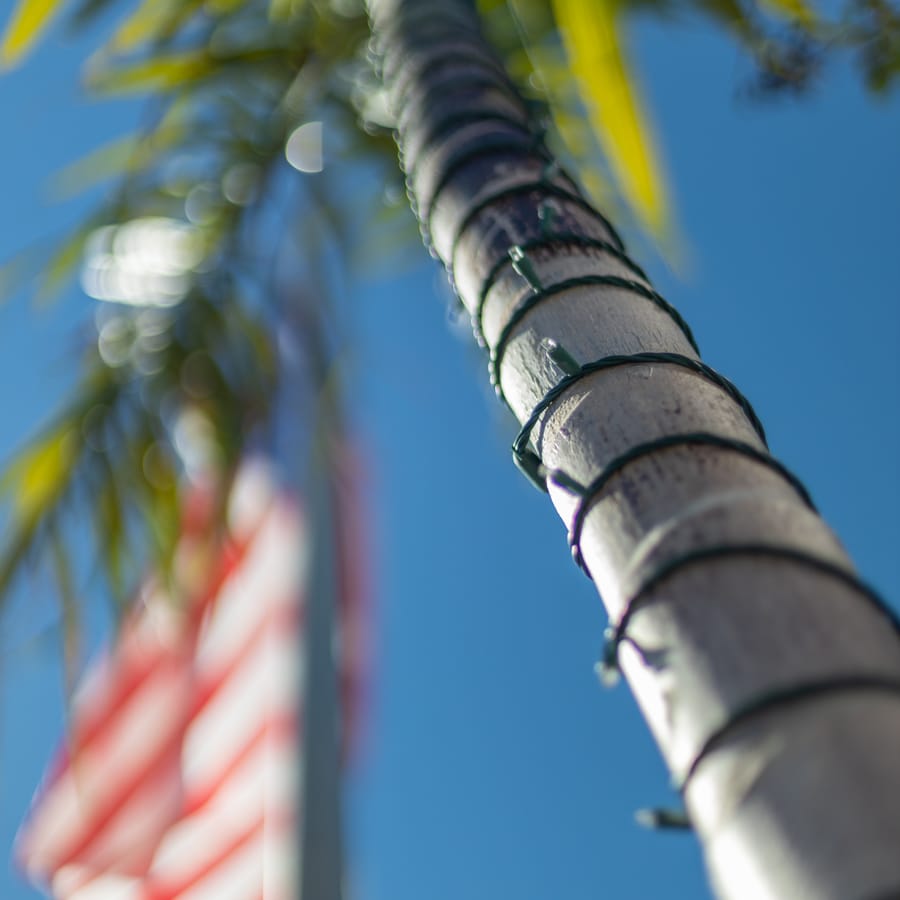 Christmas on Bridge Street Anna Maria Island