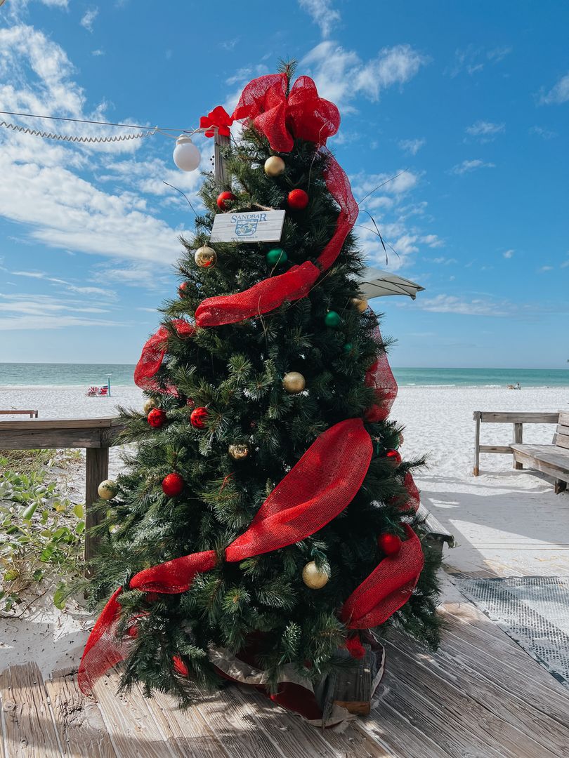 The Sandbar Christmas Tree