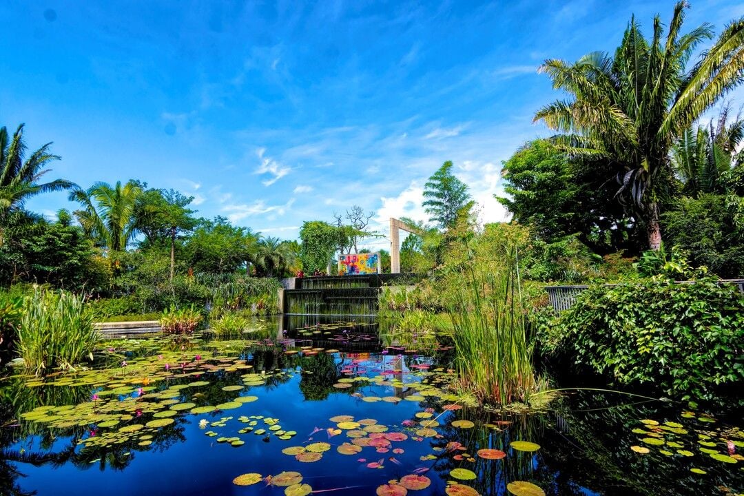 Kapnick Brazilian Garden