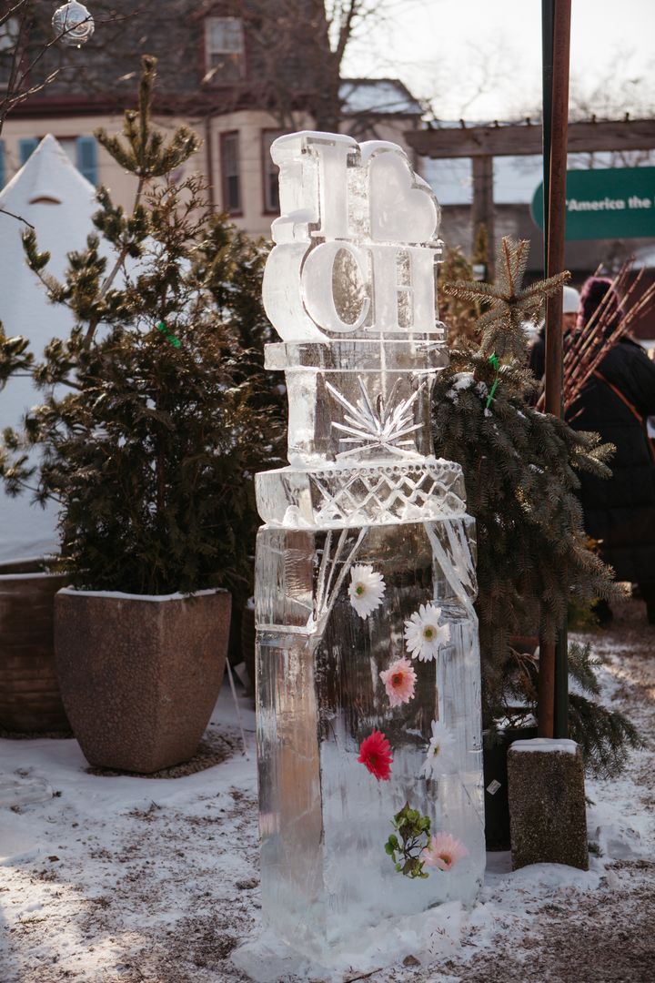 Chestnut Hill on Ice