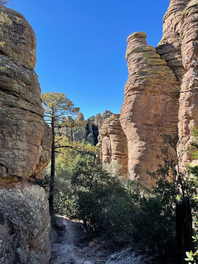 Chiricahua National Monument, Wilcox_credit Arizona Office of Tourism