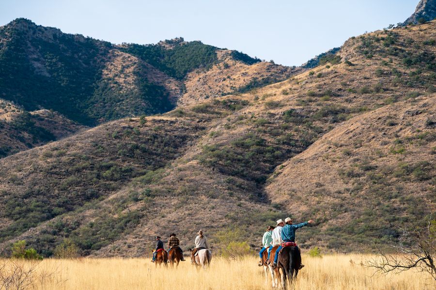 Elkhorn Ranch, Tucson_credit An Pham