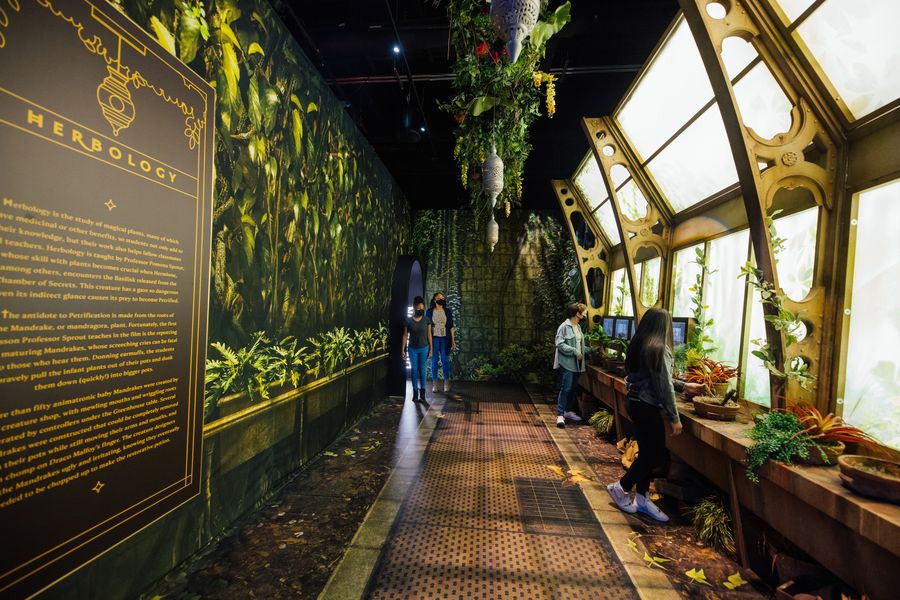 Harry Potter The Exhibition