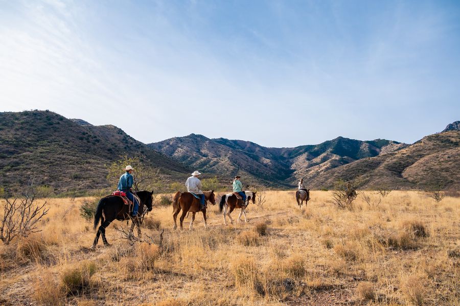 Elkhorn Ranch, Tucson_credit An Pham