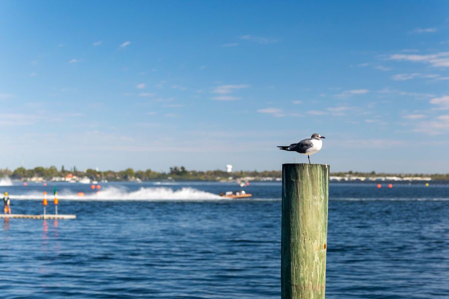 River Regatta 2022