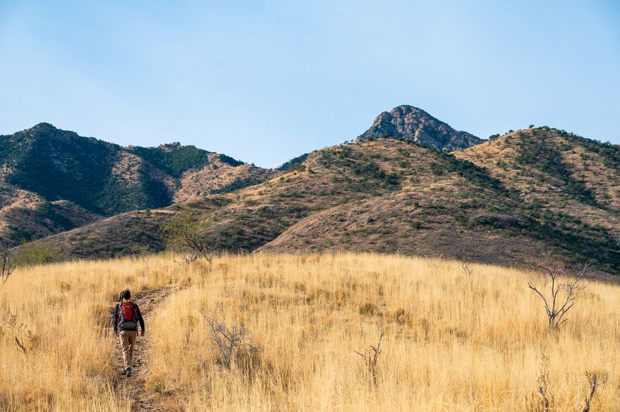 Elkhorn Ranch, Tucson_credit An Pham