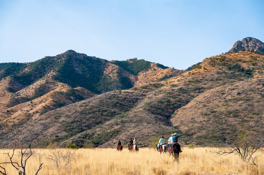 Elkhorn Ranch, Tucson_credit An Pham