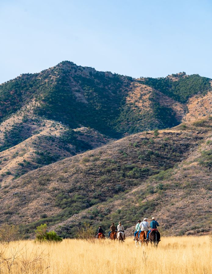 Elkhorn Ranch, Tucson_credit An Pham