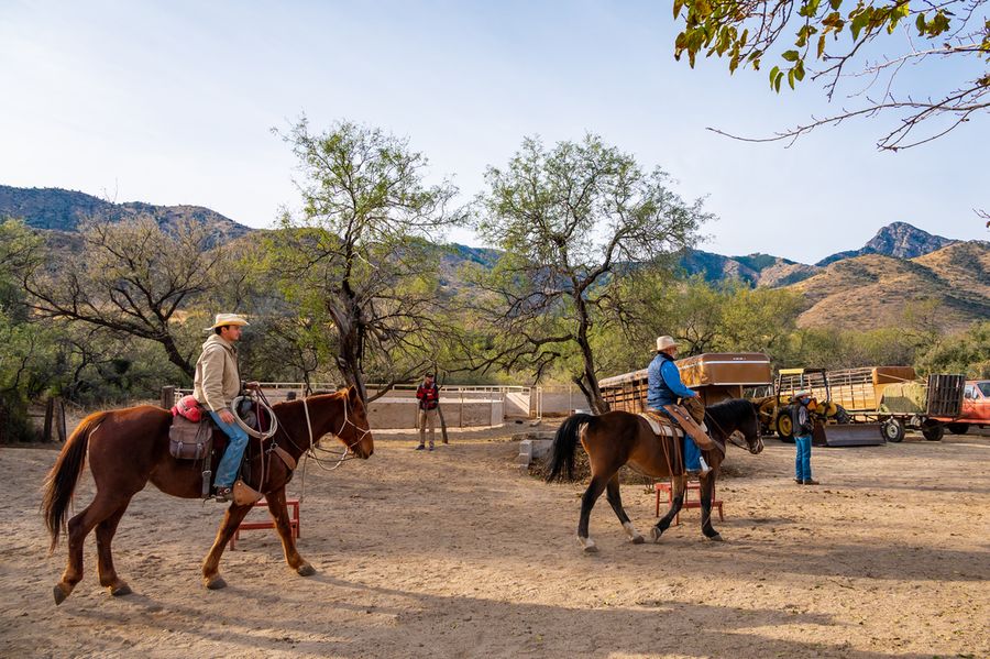 Elkhorn Ranch, Tucson_credit An Pham