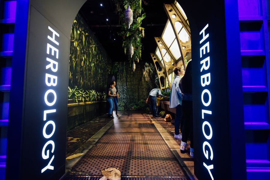 Harry Potter The Exhibition