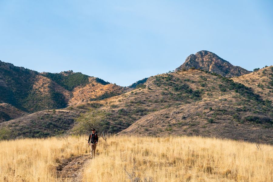 Elkhorn Ranch, Tucson_credit An Pham