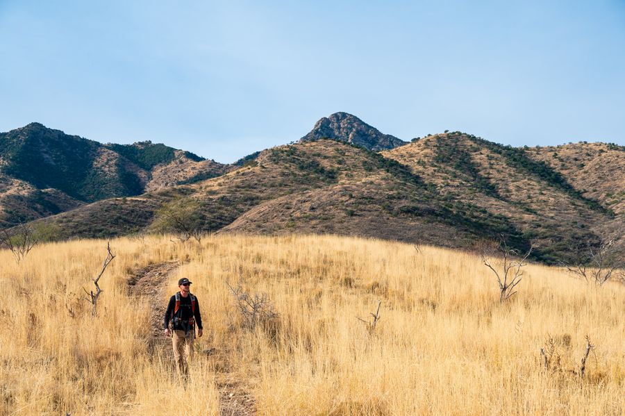 Elkhorn Ranch, Tucson_credit An Pham