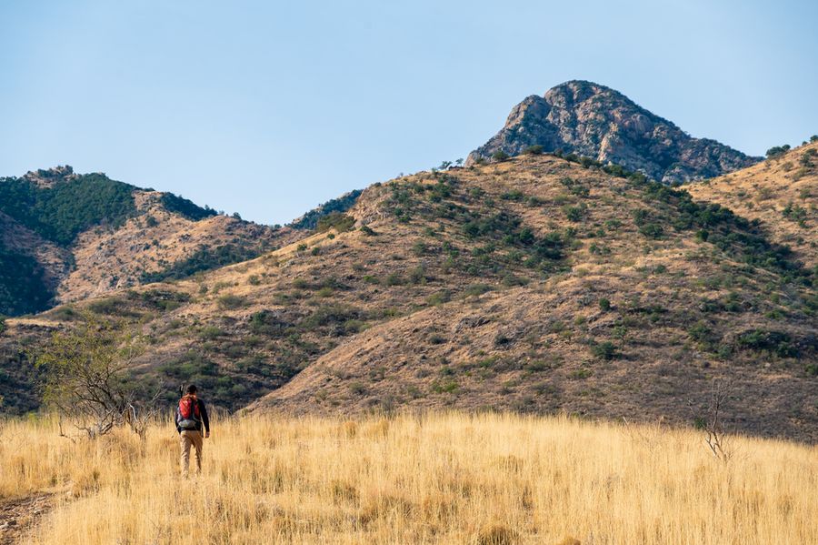 Elkhorn Ranch, Tucson_credit An Pham