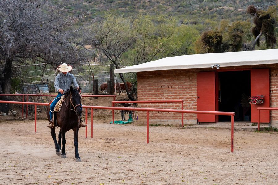 Elkhorn Ranch, Tucson_credit An Pham