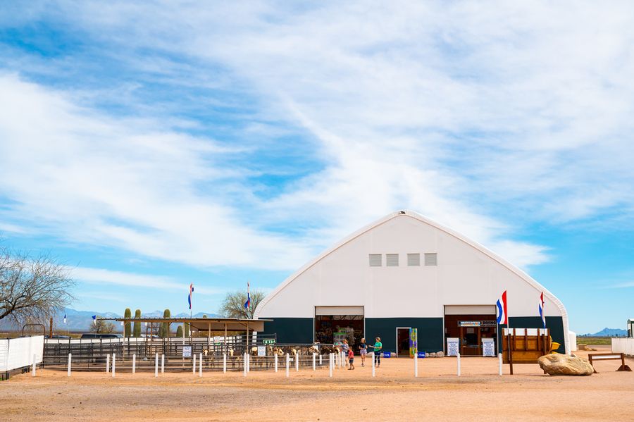 Rooster Cogburn Ostrich Ranch_An Pham_ANZ4431