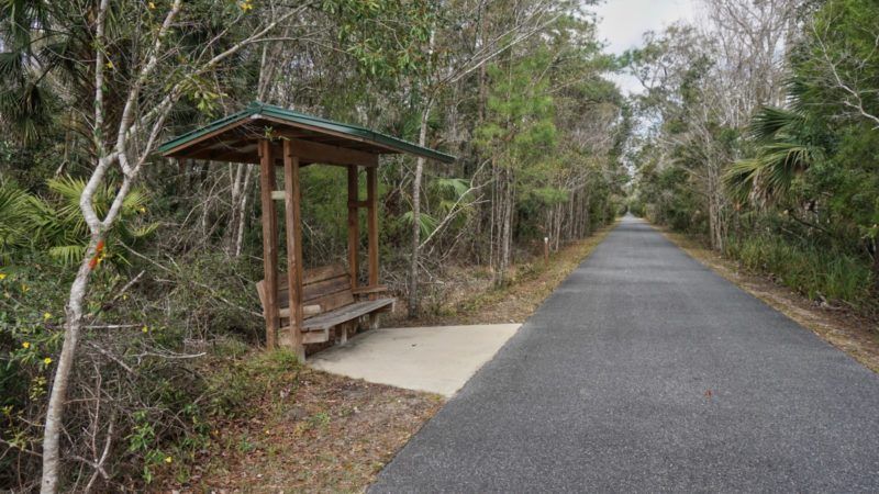 Tallahassee-St-Marks-Trail-bench-800x450