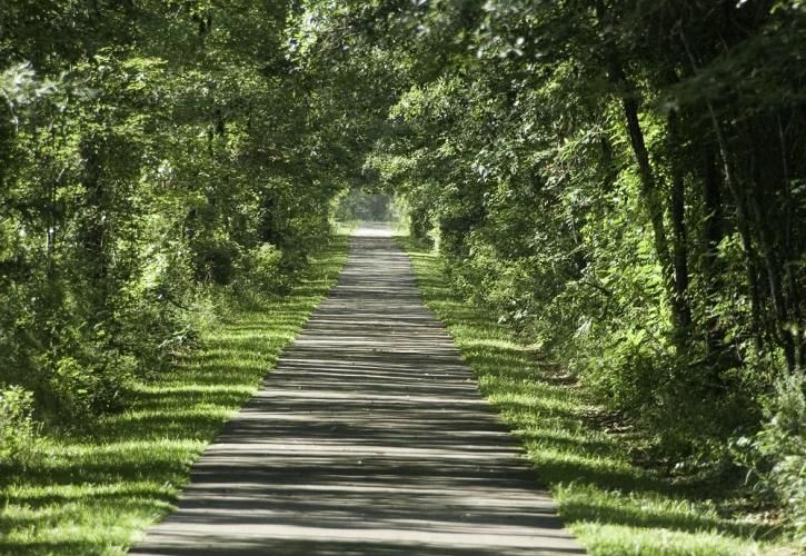 Excellent shaded Trail