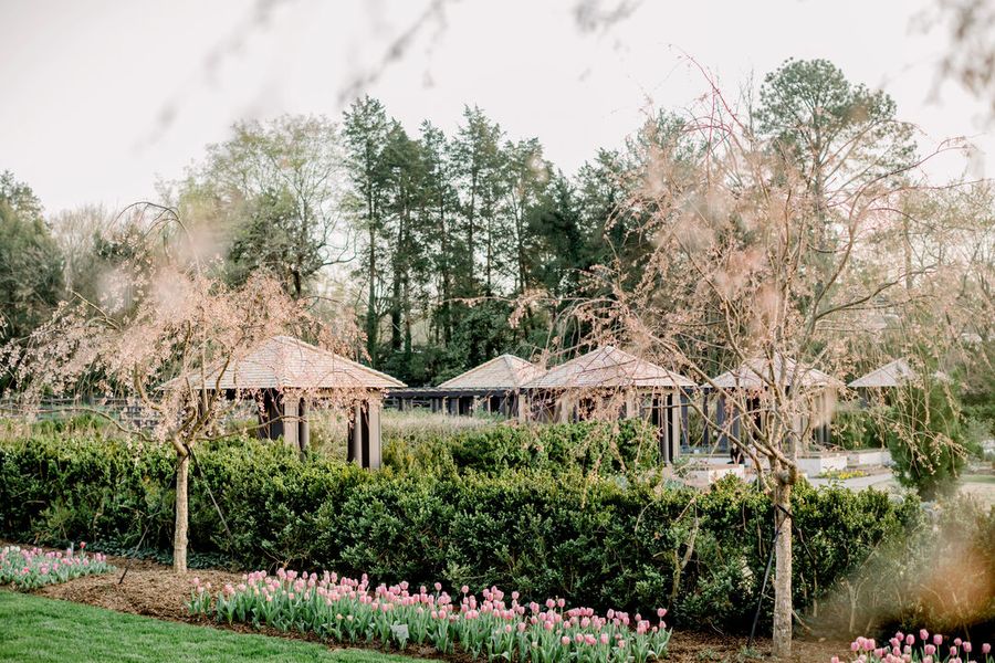 Cherry trees and teahouses_Reynolda_027_Lauren Olinger_Red Cardinal Studio