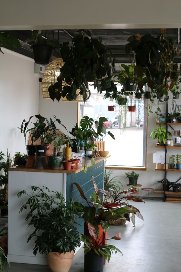 Rooted Plant Co