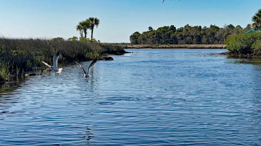 Airboat 2022-04-01 at 8.19.13 AM