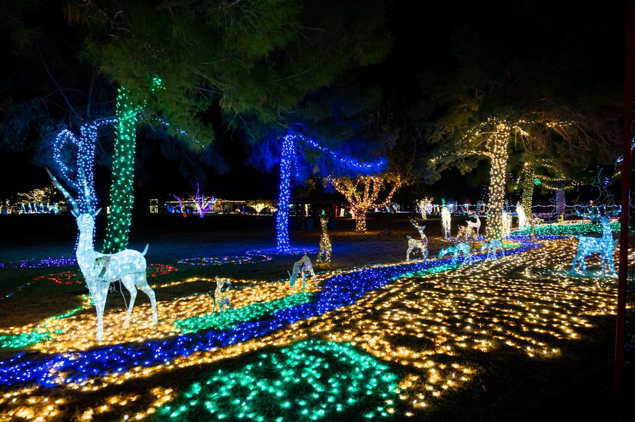 McCormick Stillman Railroad Park Holiday Lights, Scottsdale_credit An Pham