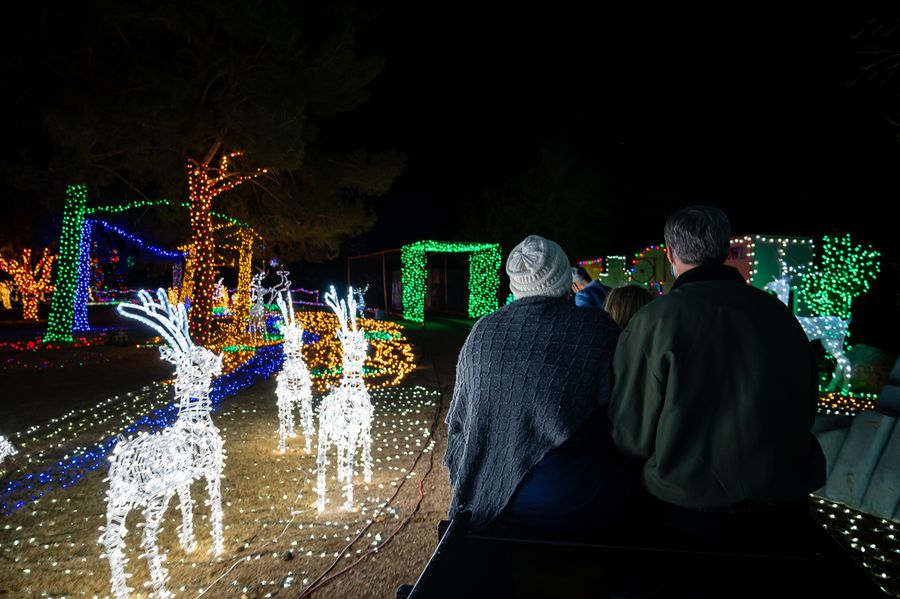 McCormick Stillman Railroad Park Holiday Lights, Scottsdale_credit An Pham