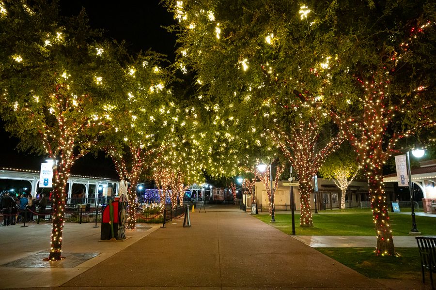 McCormick Stillman Railroad Park Holiday Lights, Scottsdale_credit An Pham