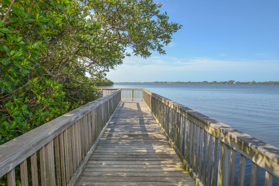 20160619_LemonBayMangroveBoardwalk_01_DS