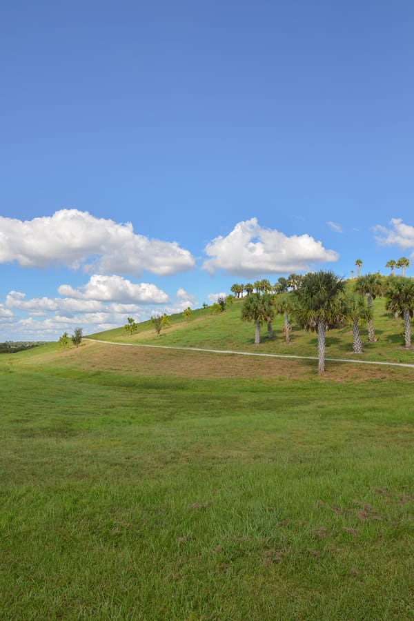 20181018_CeleryFields_02