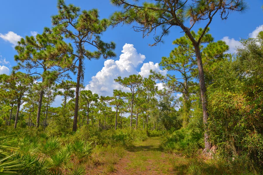 20190912_CurryCreek_015_SD