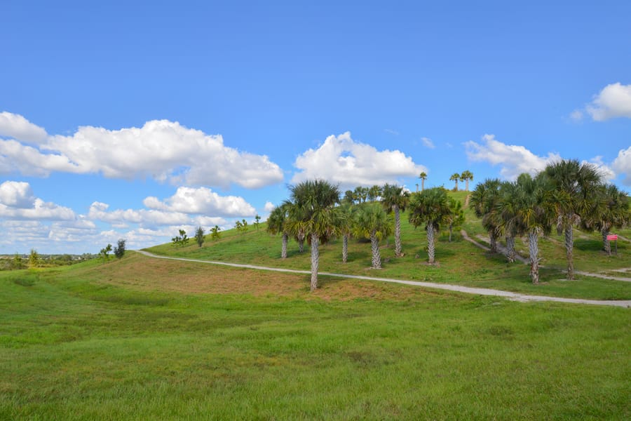 20181018_CeleryFieldsPark_003_SD