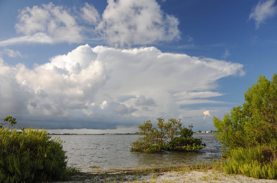 Lemon Bay Park