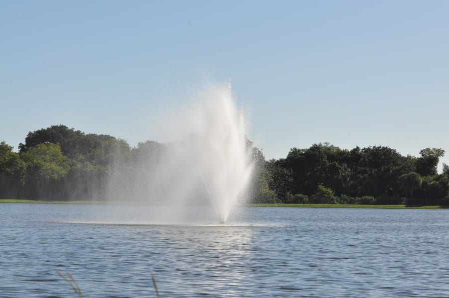 20190820_BeeRidgeWRFPond_093_SD