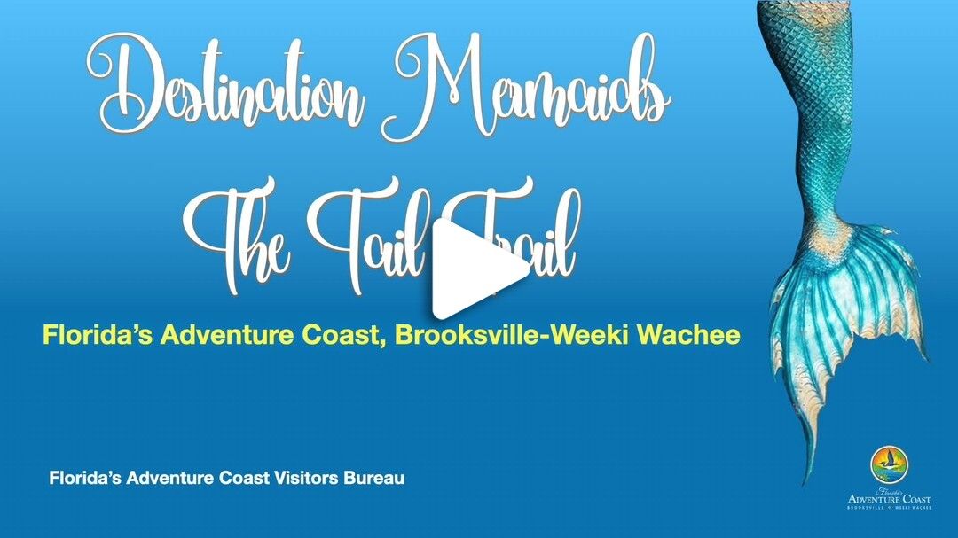 Destination Mermaids - The Tail Trail June 1