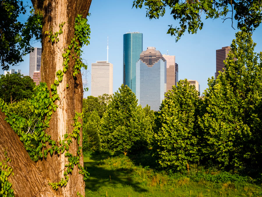 Buffalo_Bayou_Park_Skyline_3