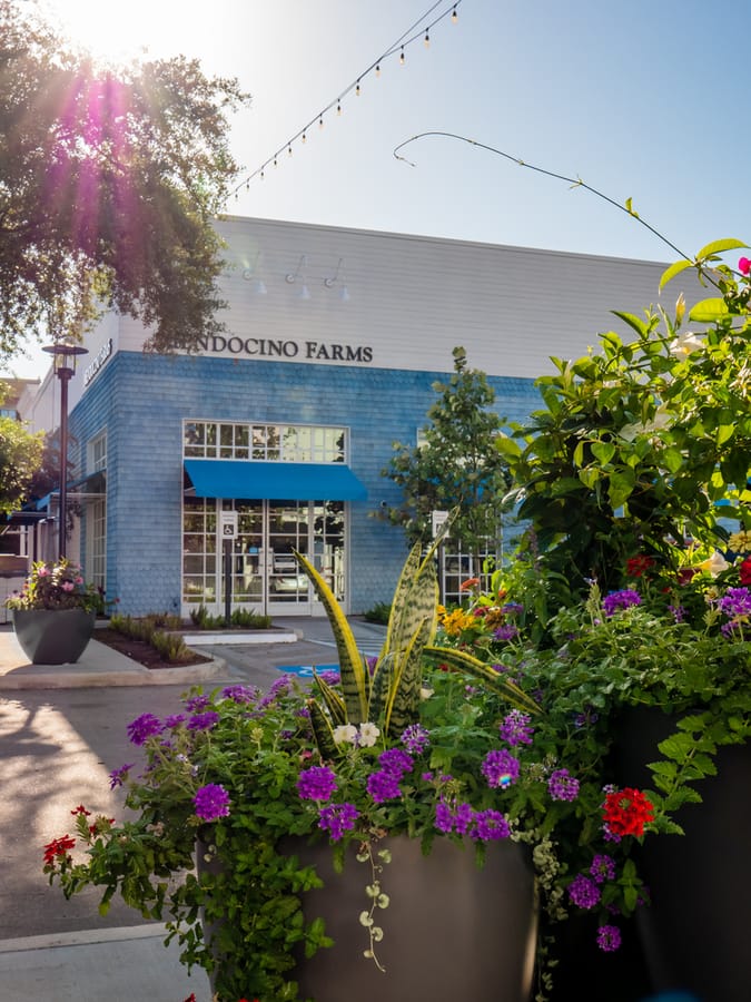 Uptown_Park_Mendocino_Farms