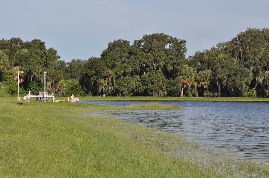 20190820_BeeRidgeWRFPond_180_SD