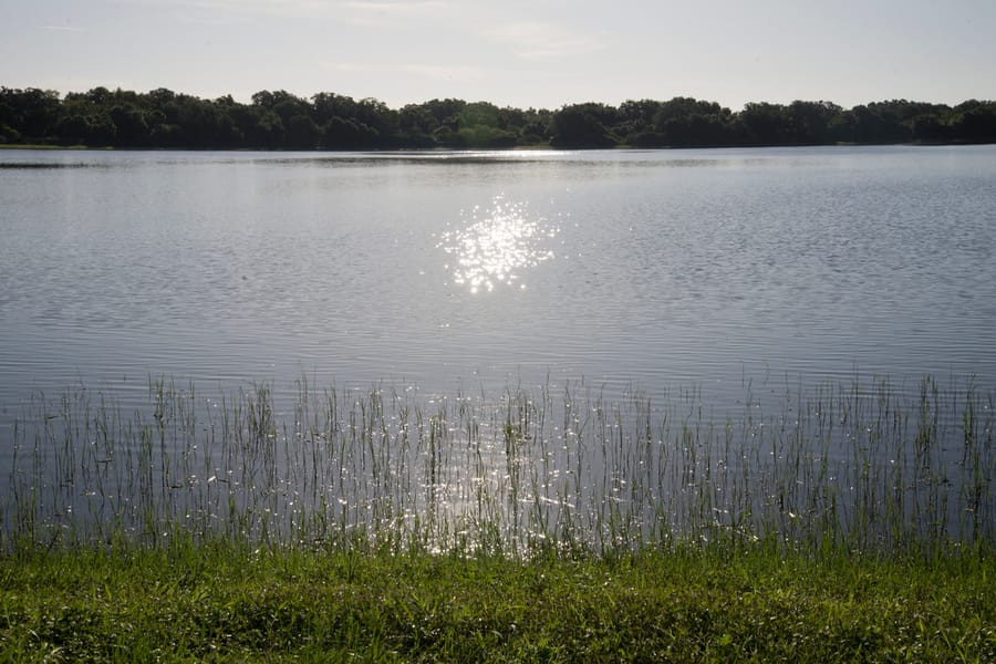 20190820_BeeRidgeWRFPond_624_SD