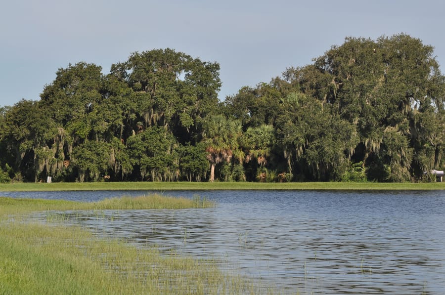 20190820_BeeRidgeWRFPond_182_SD