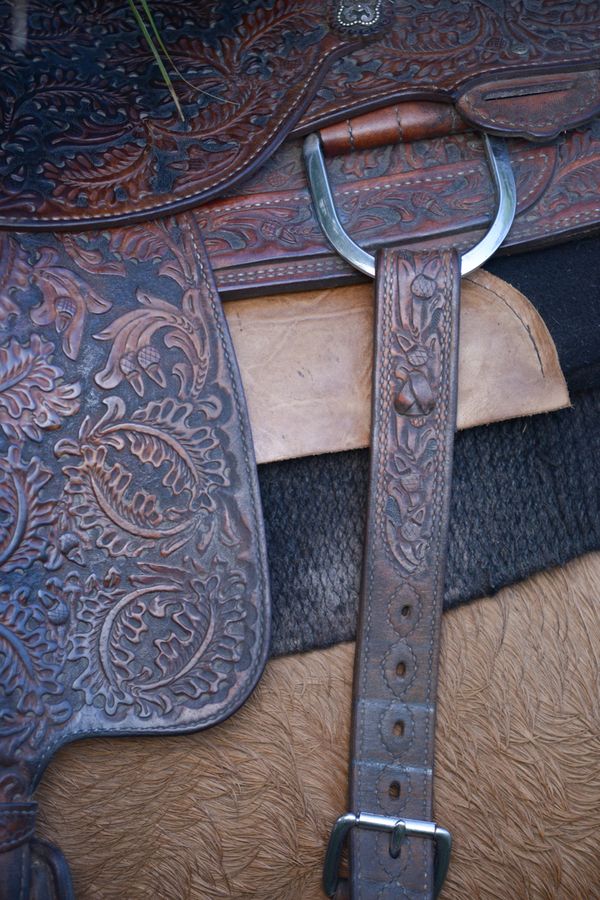 20161025_CattleWaltonRanch_2023_light_SD