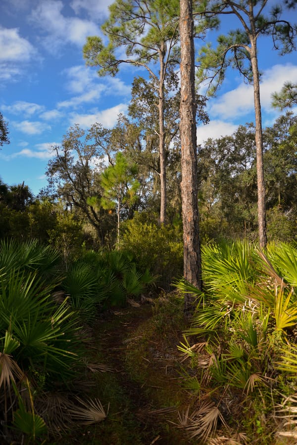 20201125_CarltonReserve_017_SD