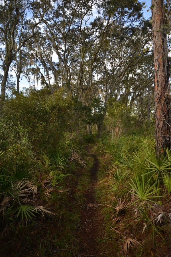 20201125_CarltonReserve_018_SD