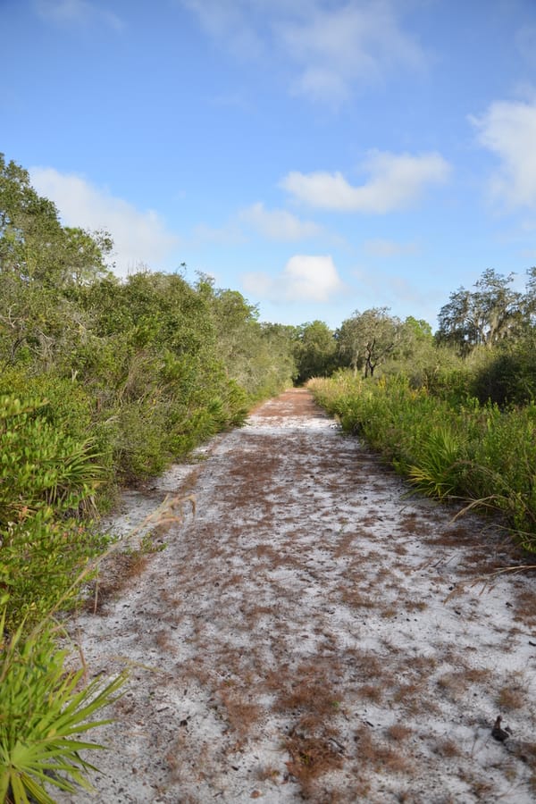 Project_20201027_OldMiakkaPreserve_034