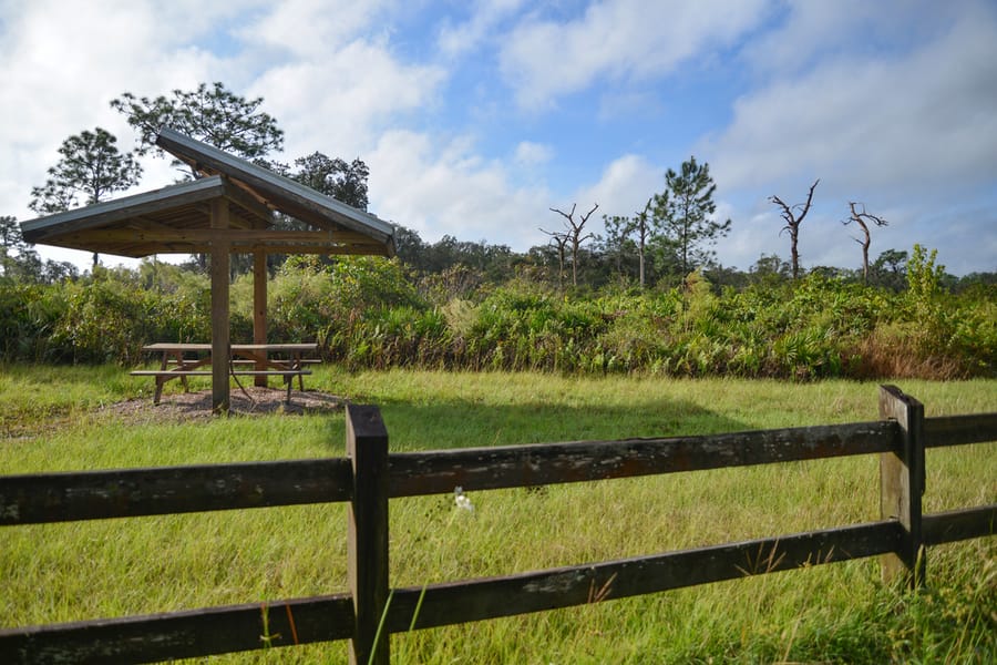 Project_20201027_OldMiakkaPreserve_013