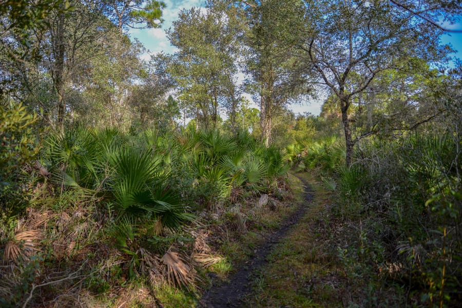 20201125_CarltonReserve_016_SD