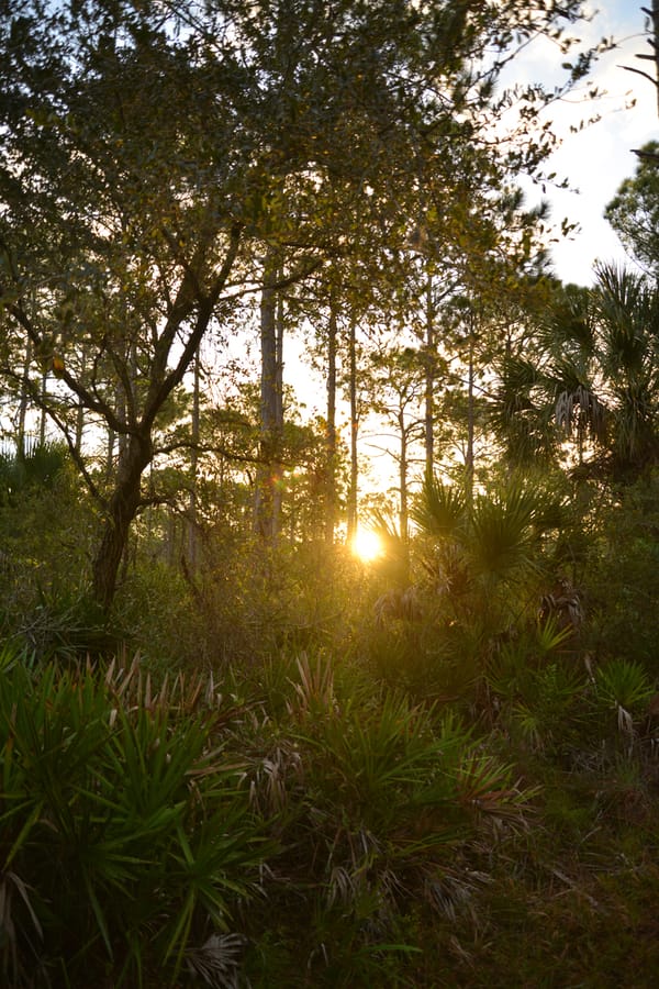 20201125_CarltonReserve_025_SD