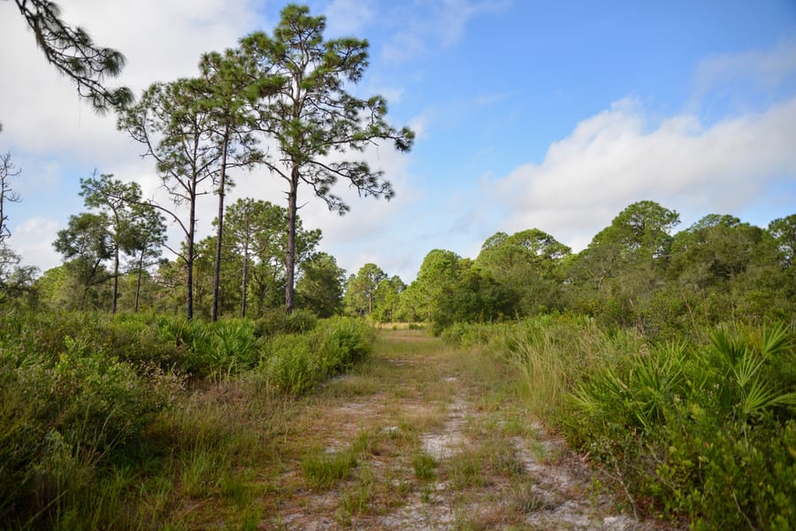 Project_20201027_OldMiakkaPreserve_030