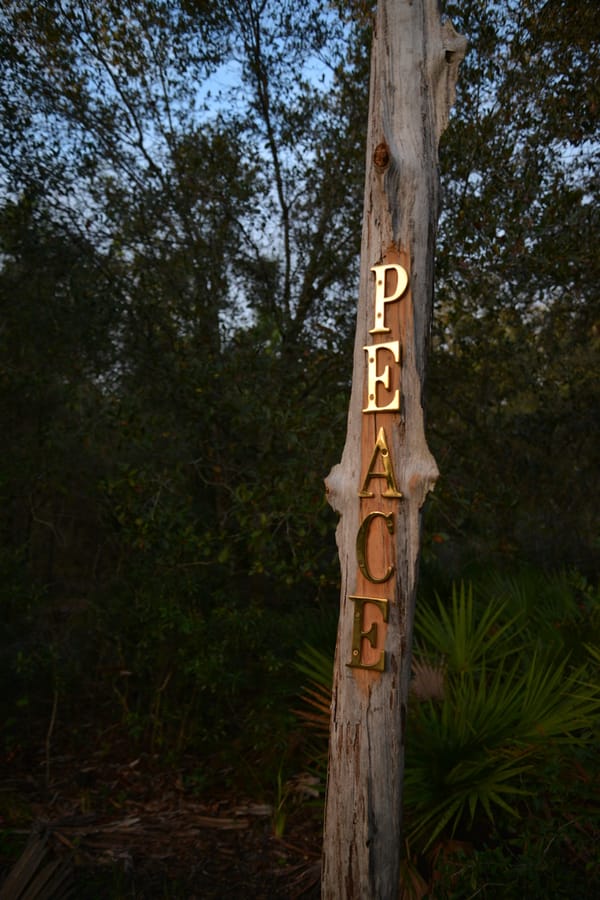 20201125_CarltonReserve_001_SD